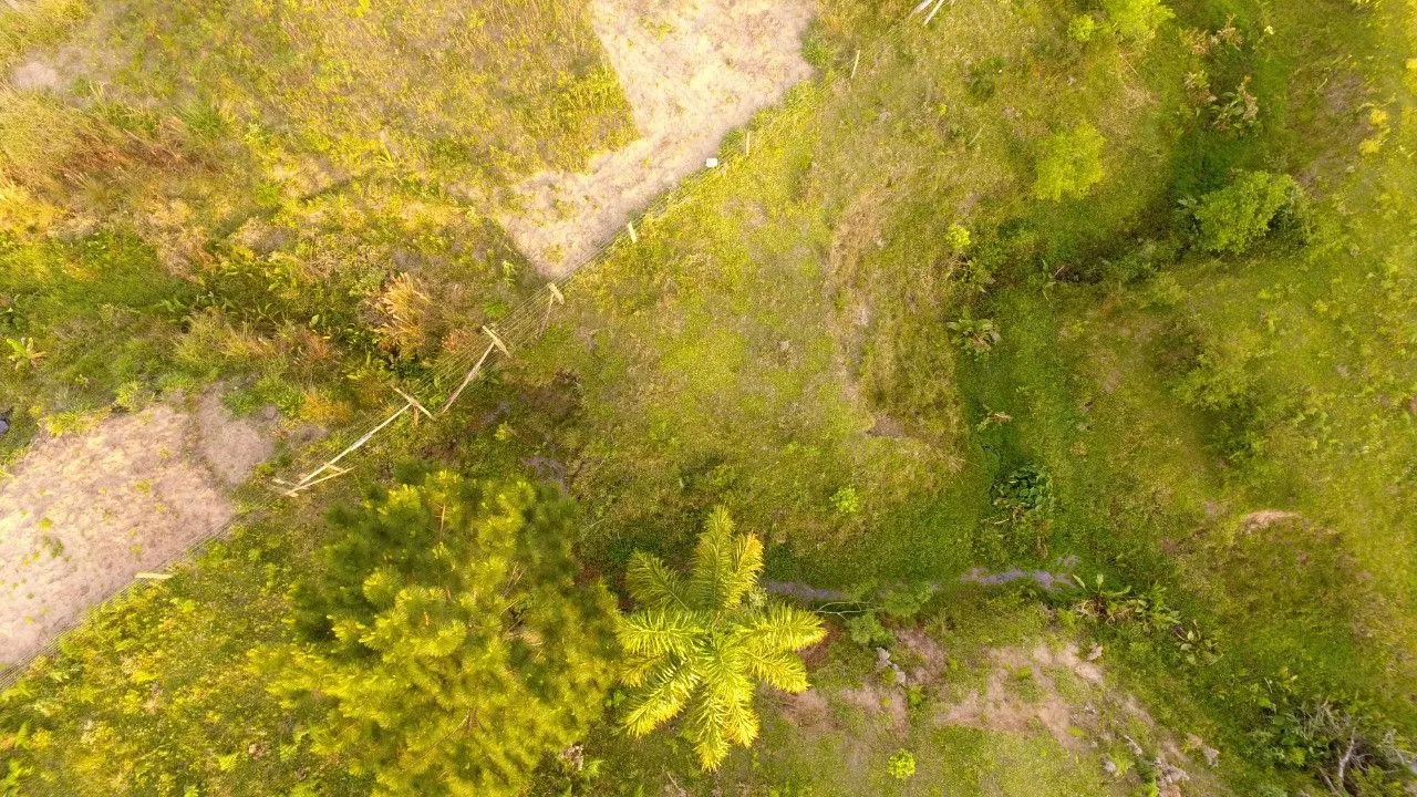 Chácara à venda de 2 ha em Santo Antônio da Patrulha, RS, Brasil
