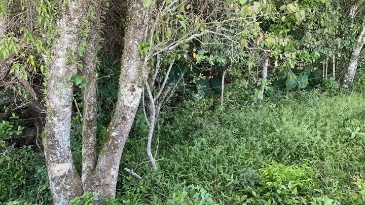 Chácara à venda de 2 ha em Santo Antônio da Patrulha, RS, Brasil