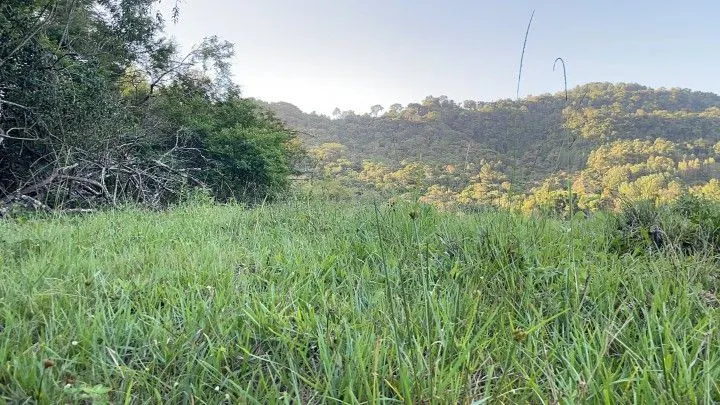 Chácara à venda de 2 ha em Santo Antônio da Patrulha, RS, Brasil