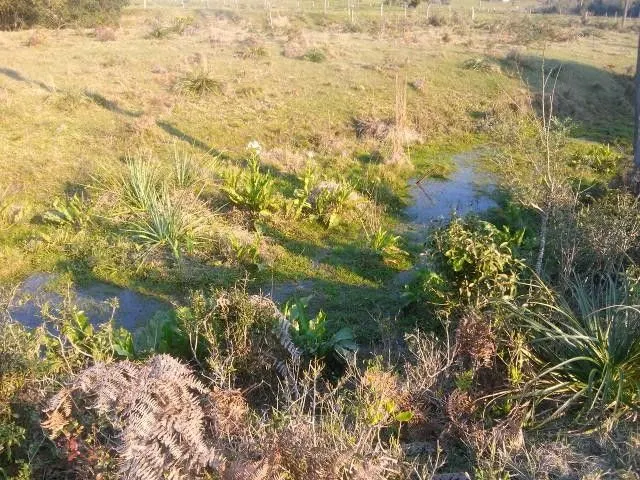 Chácara à venda de 2 ha em Santo Antônio da Patrulha, RS, Brasil