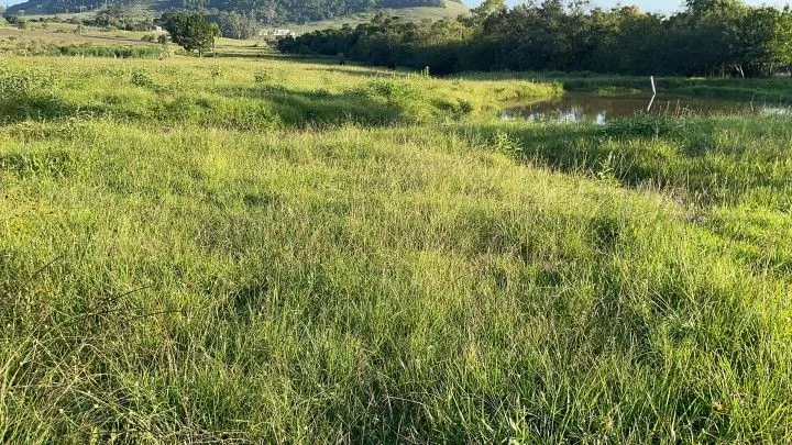 Chácara à venda de 2 ha em Santo Antônio da Patrulha, RS, Brasil
