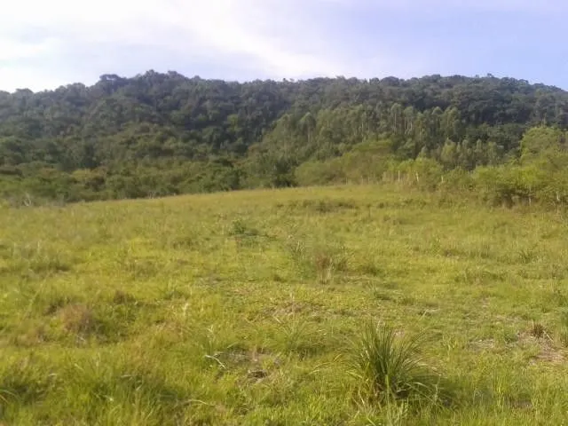 Chácara à venda de 2 ha em Santo Antônio da Patrulha, RS, Brasil