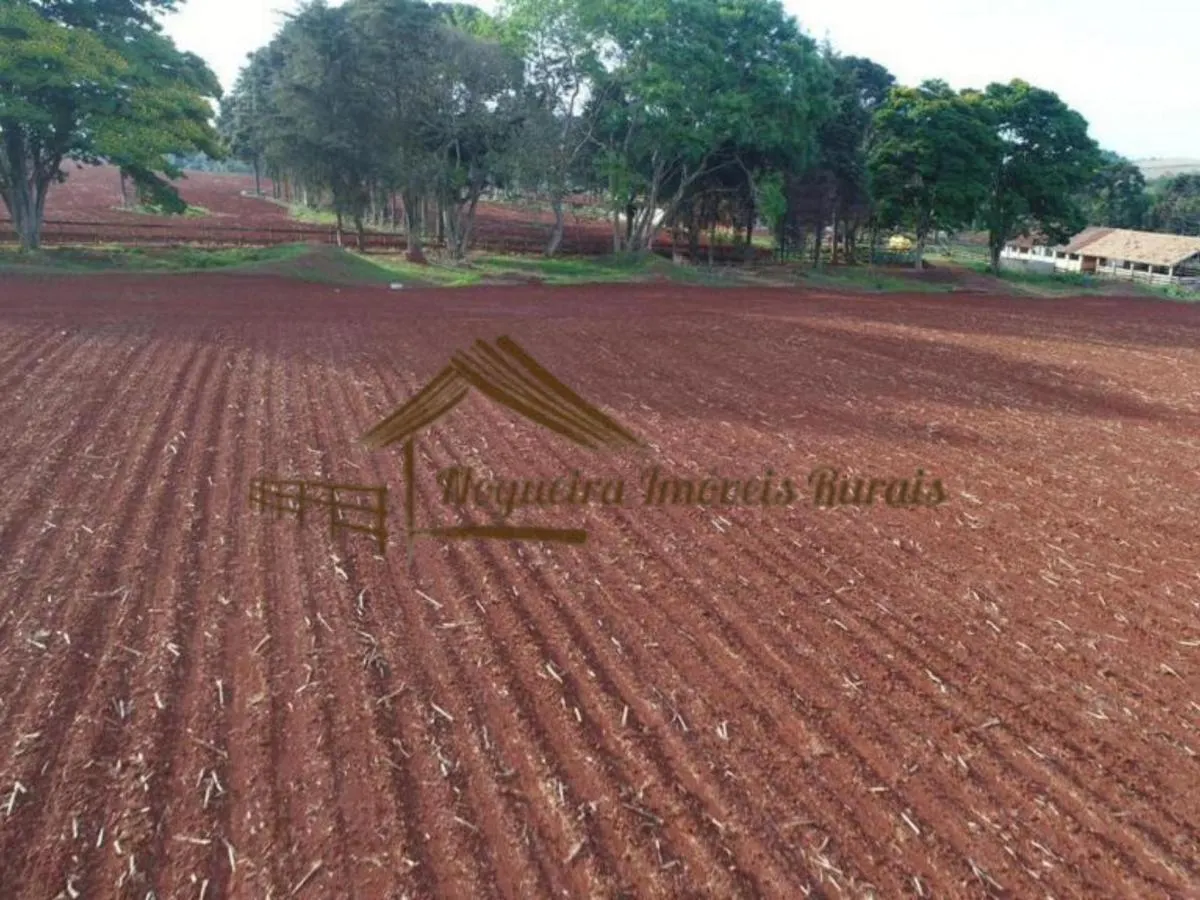 Fazenda à venda de 343 ha em Itapetininga, SP, Brasil
