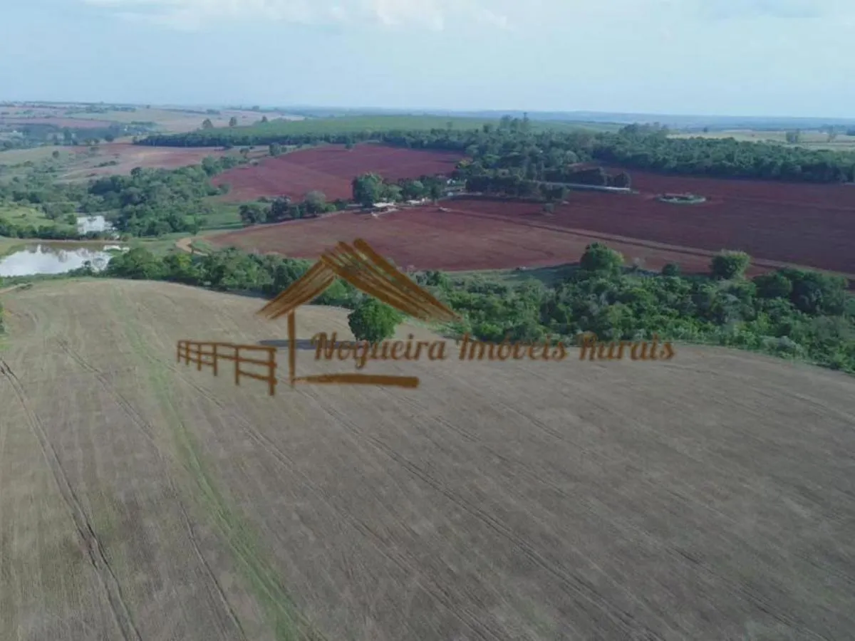 Fazenda à venda de 343 ha em Itapetininga, SP, Brasil
