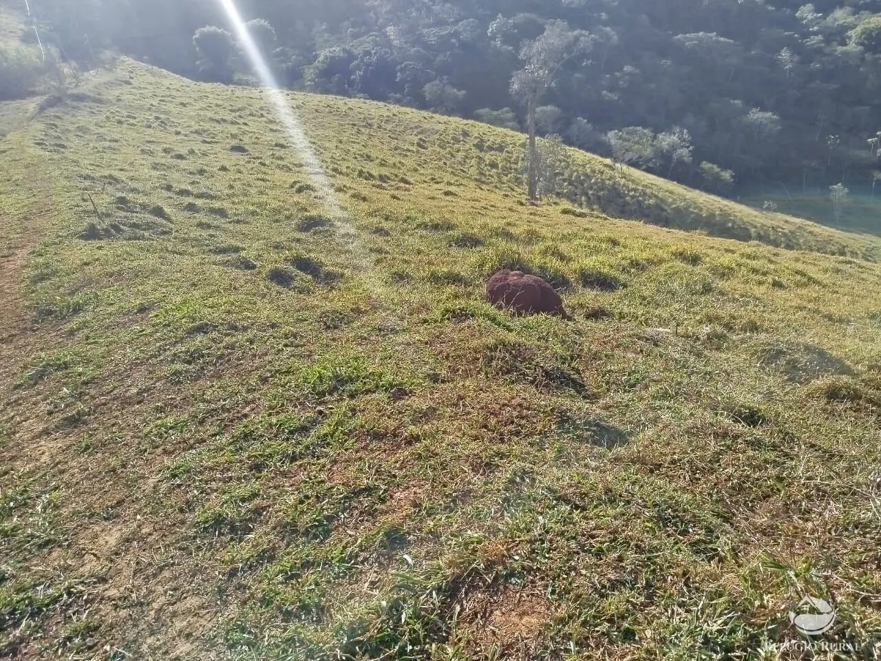 Chácara à venda de 2 ha em Monteiro Lobato, SP, Brasil