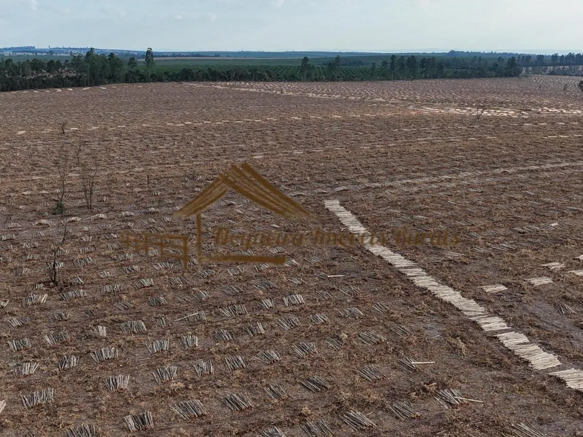 Fazenda à venda de 1.331 ha em Avaré, SP, Brasil
