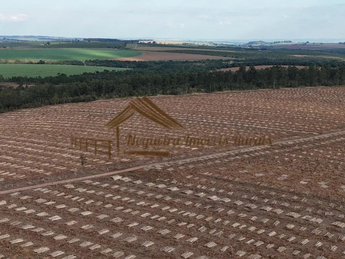 Fazenda à venda de 1.331 ha em Avaré, SP, Brasil