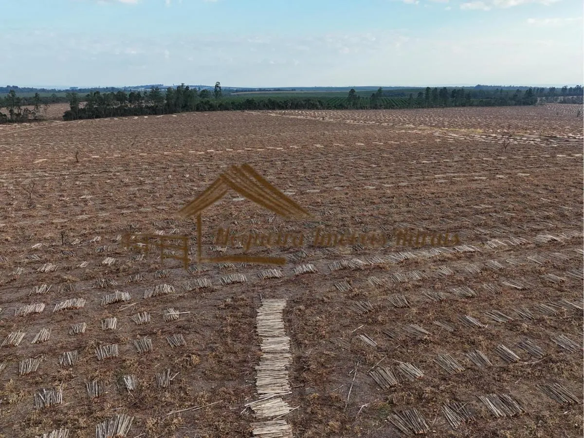 Fazenda à venda de 1.331 ha em Avaré, SP, Brasil