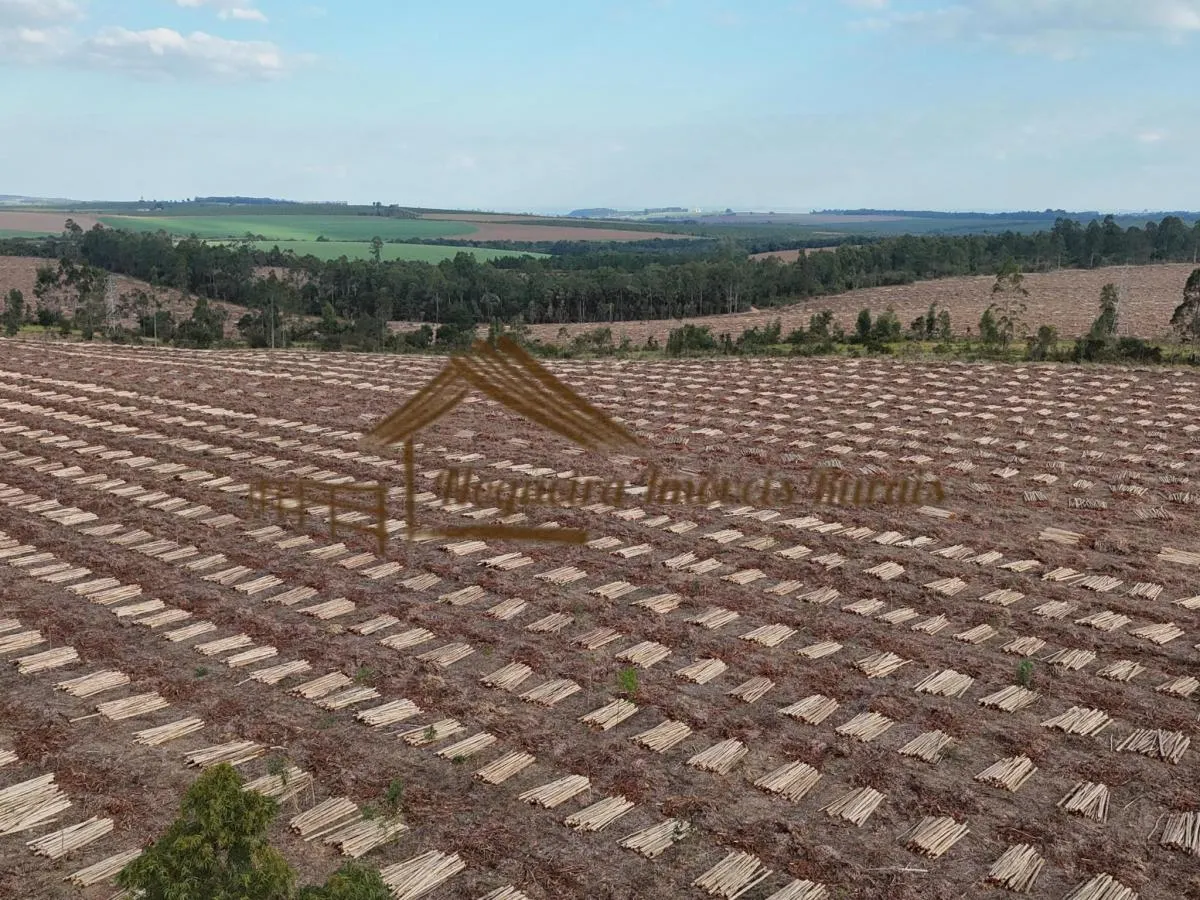 Fazenda à venda de 1.331 ha em Avaré, SP, Brasil