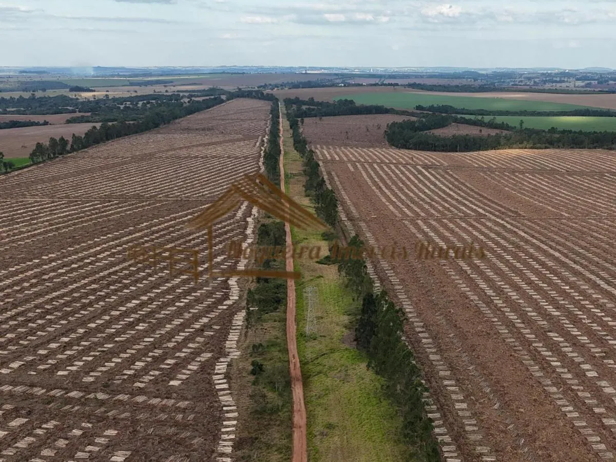 Fazenda à venda de 1.331 ha em Avaré, SP, Brasil