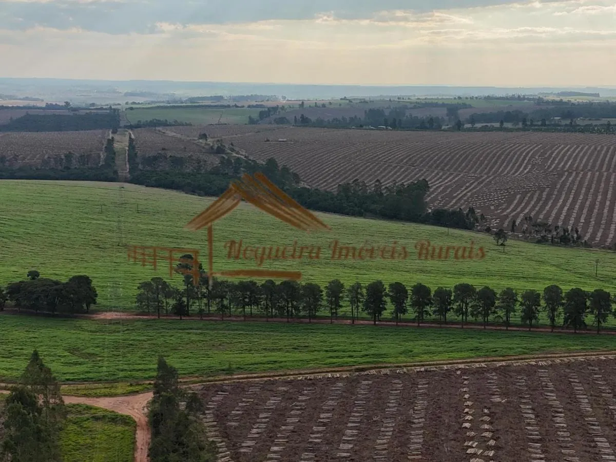 Fazenda à venda de 1.331 ha em Avaré, SP, Brasil