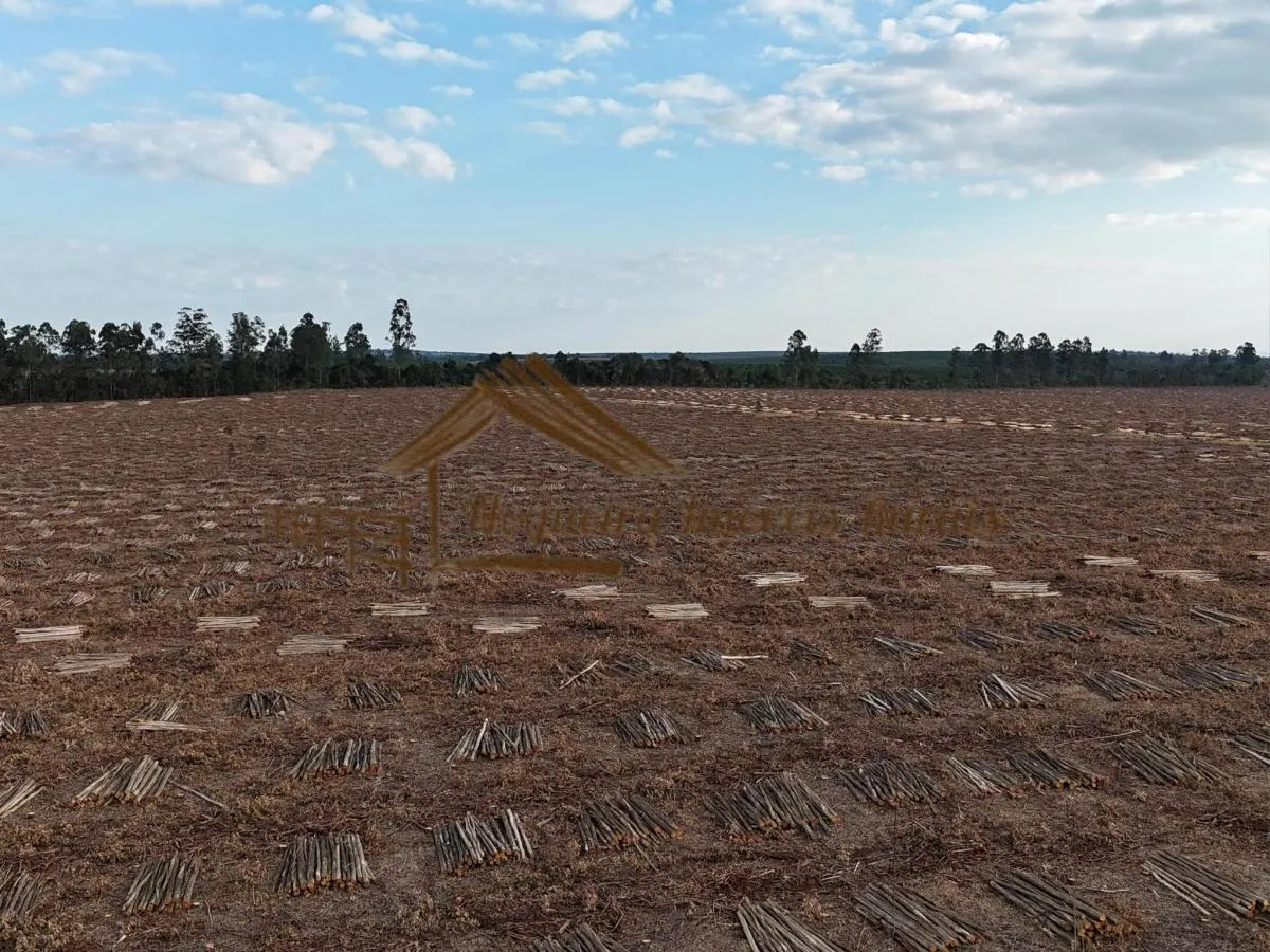Fazenda à venda de 1.331 ha em Avaré, SP, Brasil