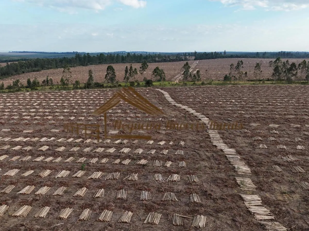 Fazenda à venda de 1.331 ha em Avaré, SP, Brasil