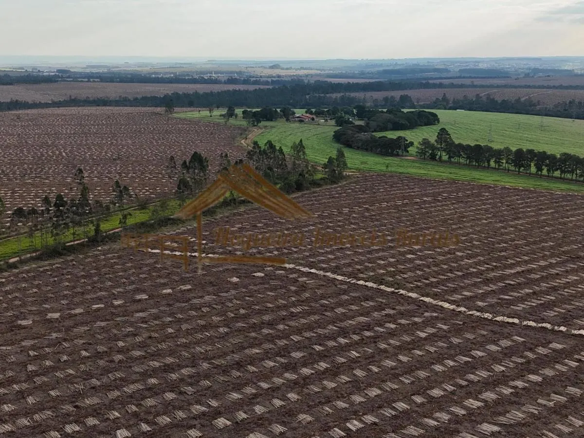 Fazenda à venda de 1.331 ha em Avaré, SP, Brasil