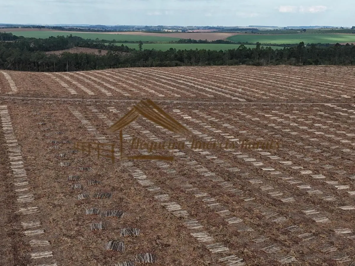 Fazenda à venda de 1.331 ha em Avaré, SP, Brasil