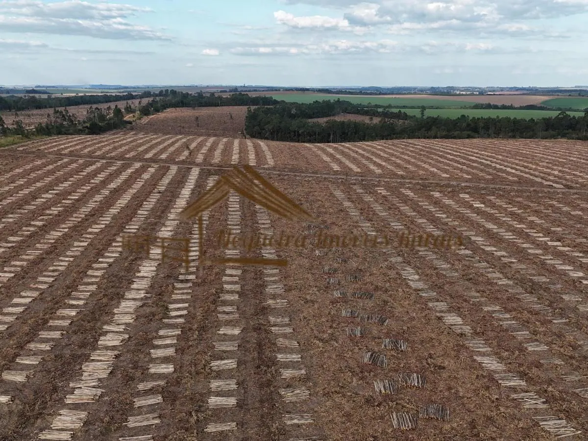 Fazenda à venda de 1.331 ha em Avaré, SP, Brasil