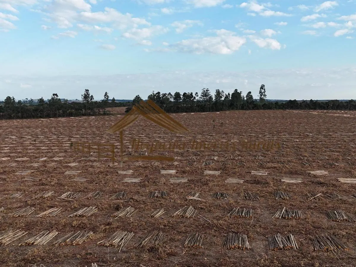 Fazenda à venda de 1.331 ha em Avaré, SP, Brasil