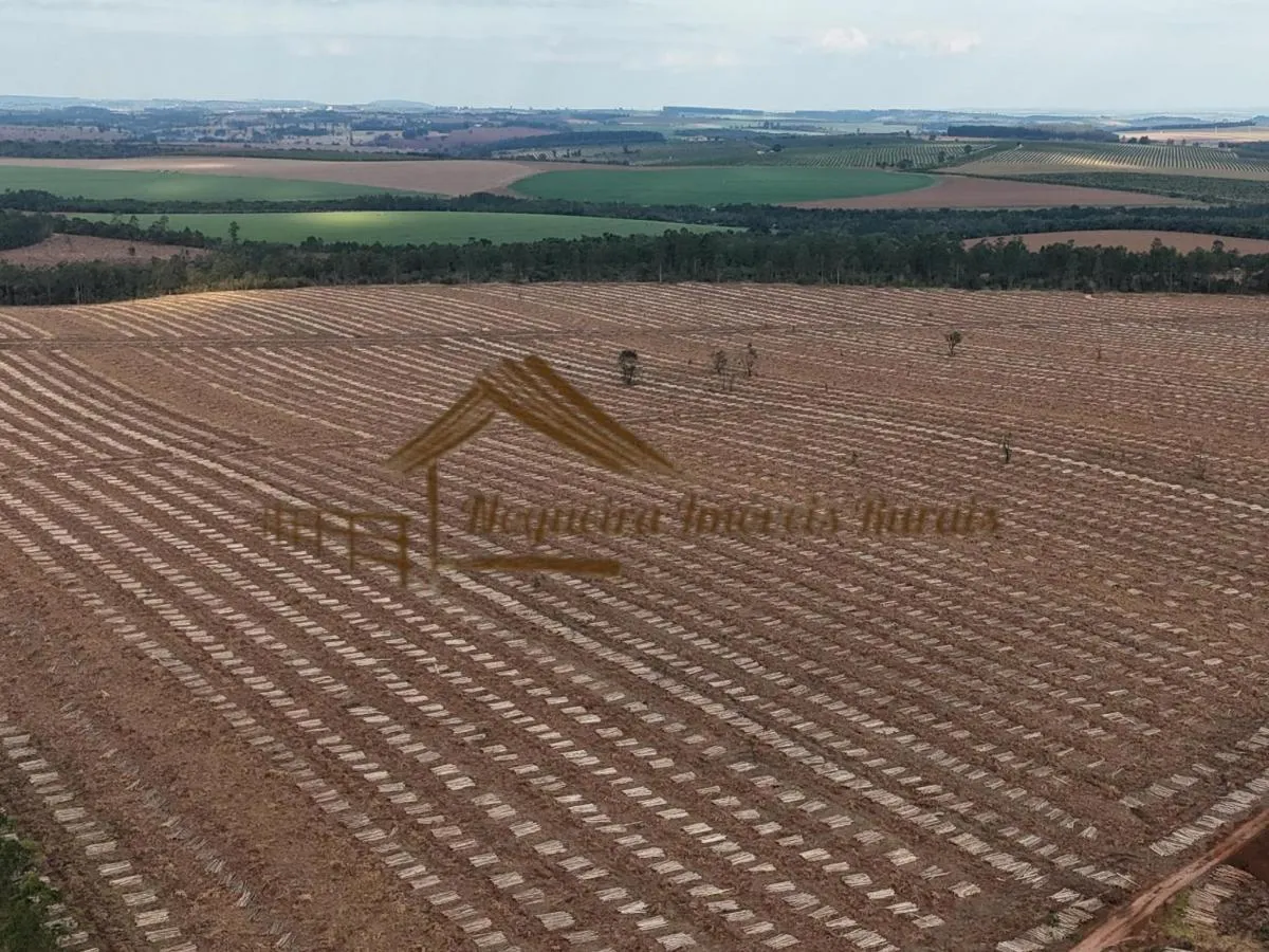 Fazenda à venda de 1.331 ha em Avaré, SP, Brasil