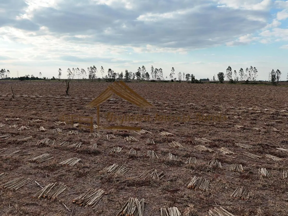 Fazenda à venda de 1.331 ha em Avaré, SP, Brasil