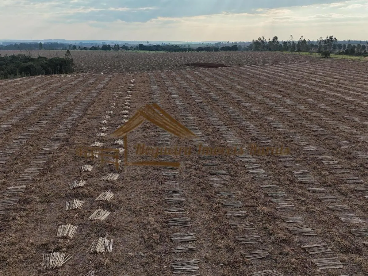 Fazenda à venda de 1.331 ha em Avaré, SP, Brasil