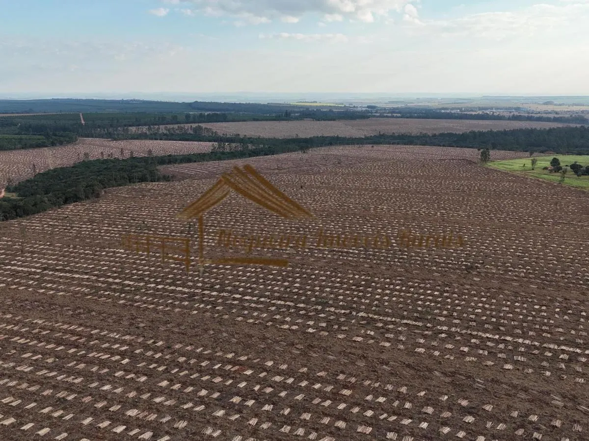 Fazenda à venda de 1.331 ha em Avaré, SP, Brasil