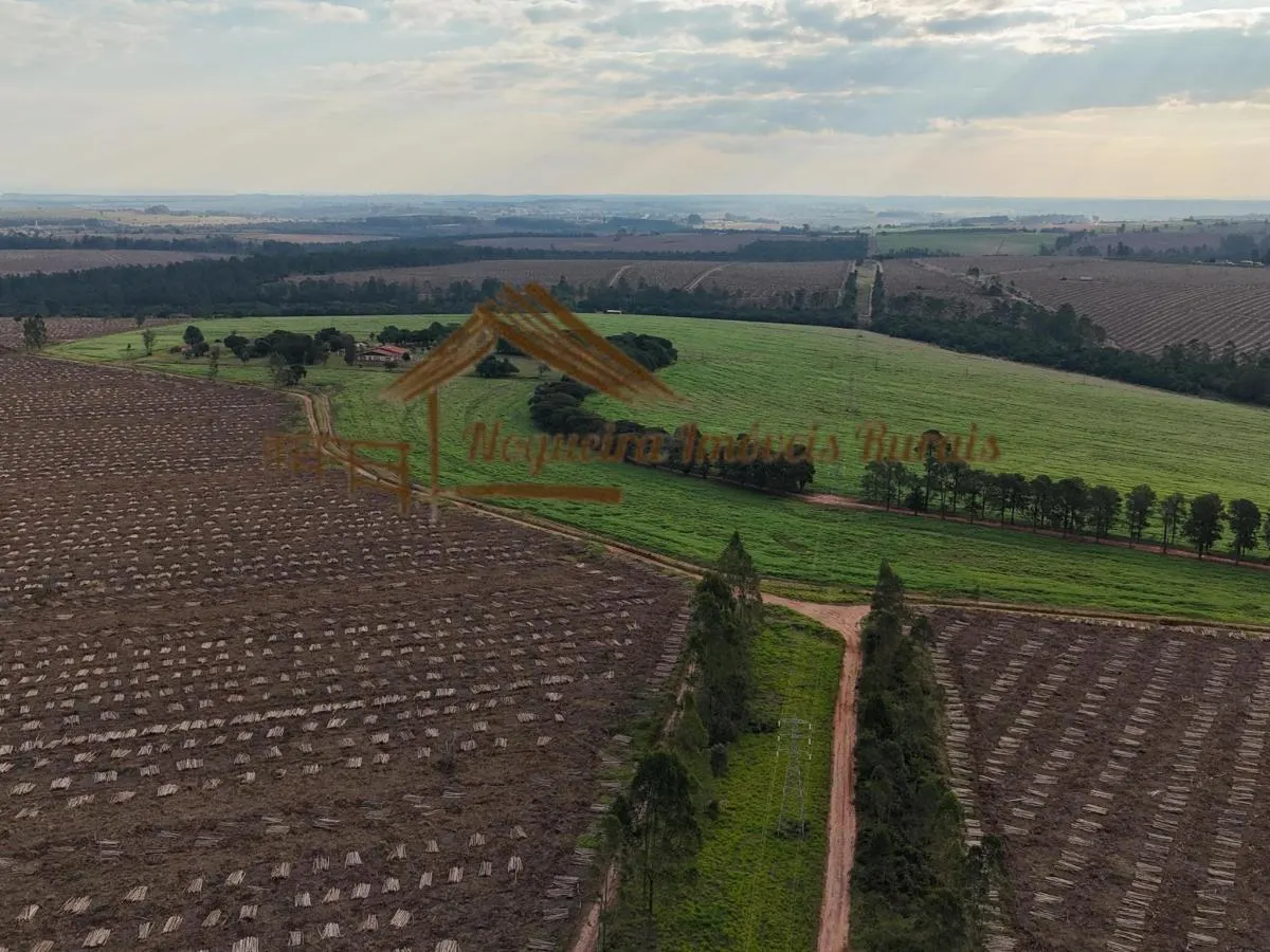 Fazenda à venda de 1.331 ha em Avaré, SP, Brasil