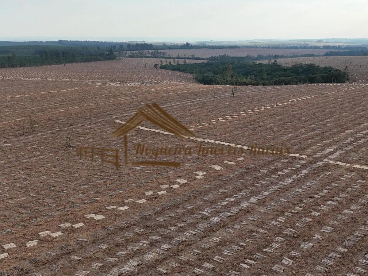 Fazenda à venda de 1.331 ha em Avaré, SP, Brasil