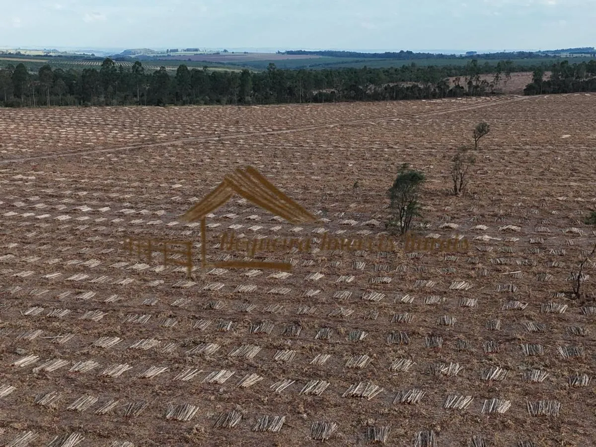 Fazenda à venda de 1.331 ha em Avaré, SP, Brasil