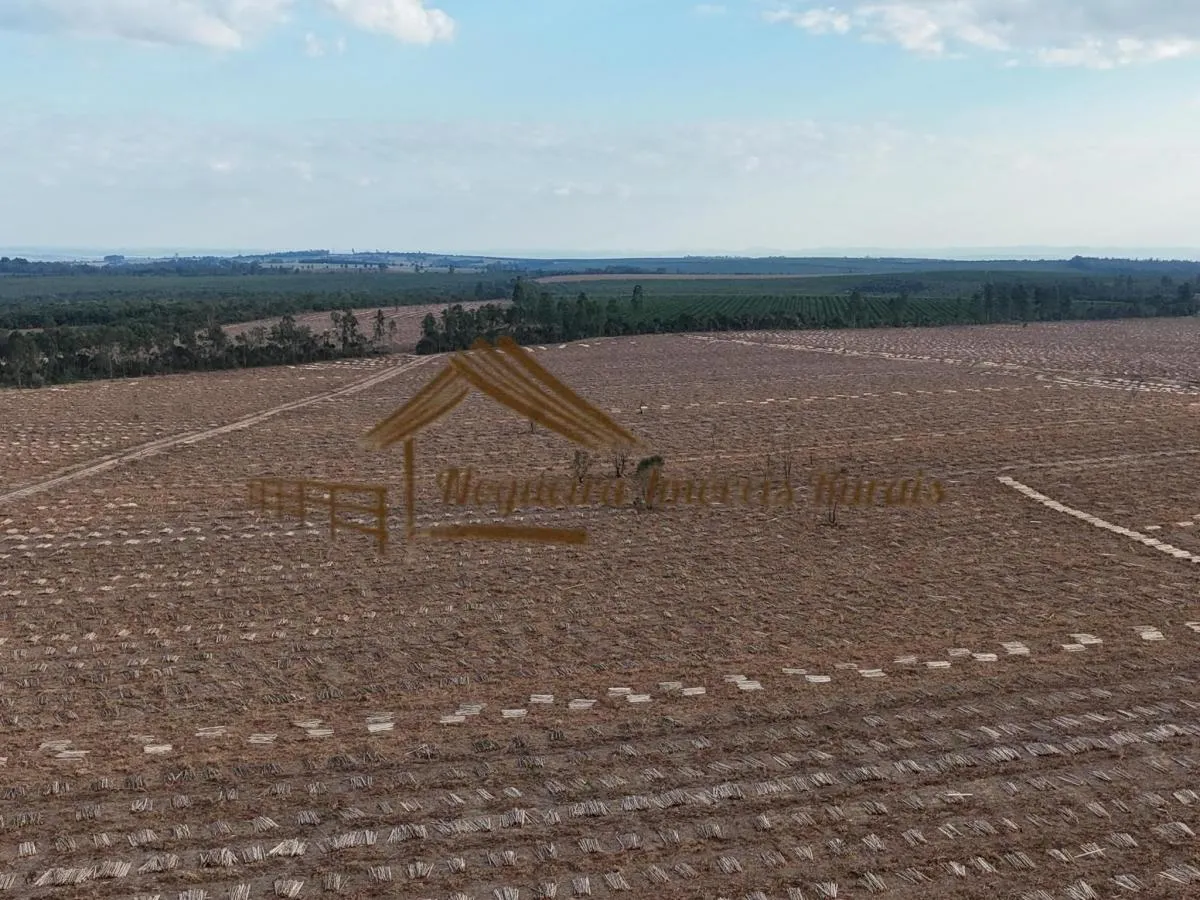 Fazenda à venda de 1.331 ha em Avaré, SP, Brasil