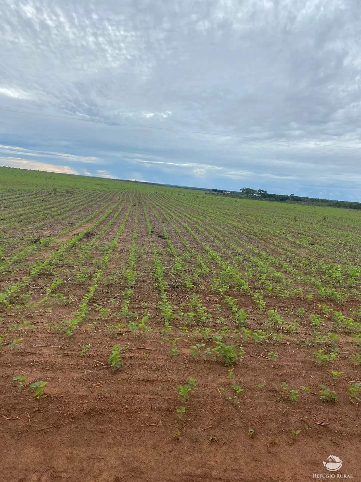 Fazenda à venda de 4.100 ha em CanaBrava do Norte, MT, Brasil