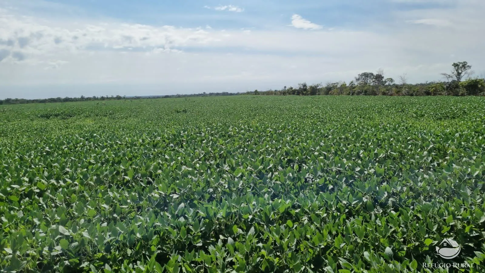 Fazenda à venda de 4.100 ha em CanaBrava do Norte, MT, Brasil