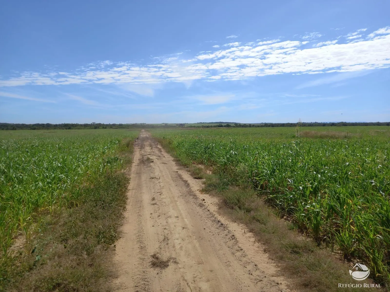 Fazenda à venda de 4.100 ha em CanaBrava do Norte, MT, Brasil