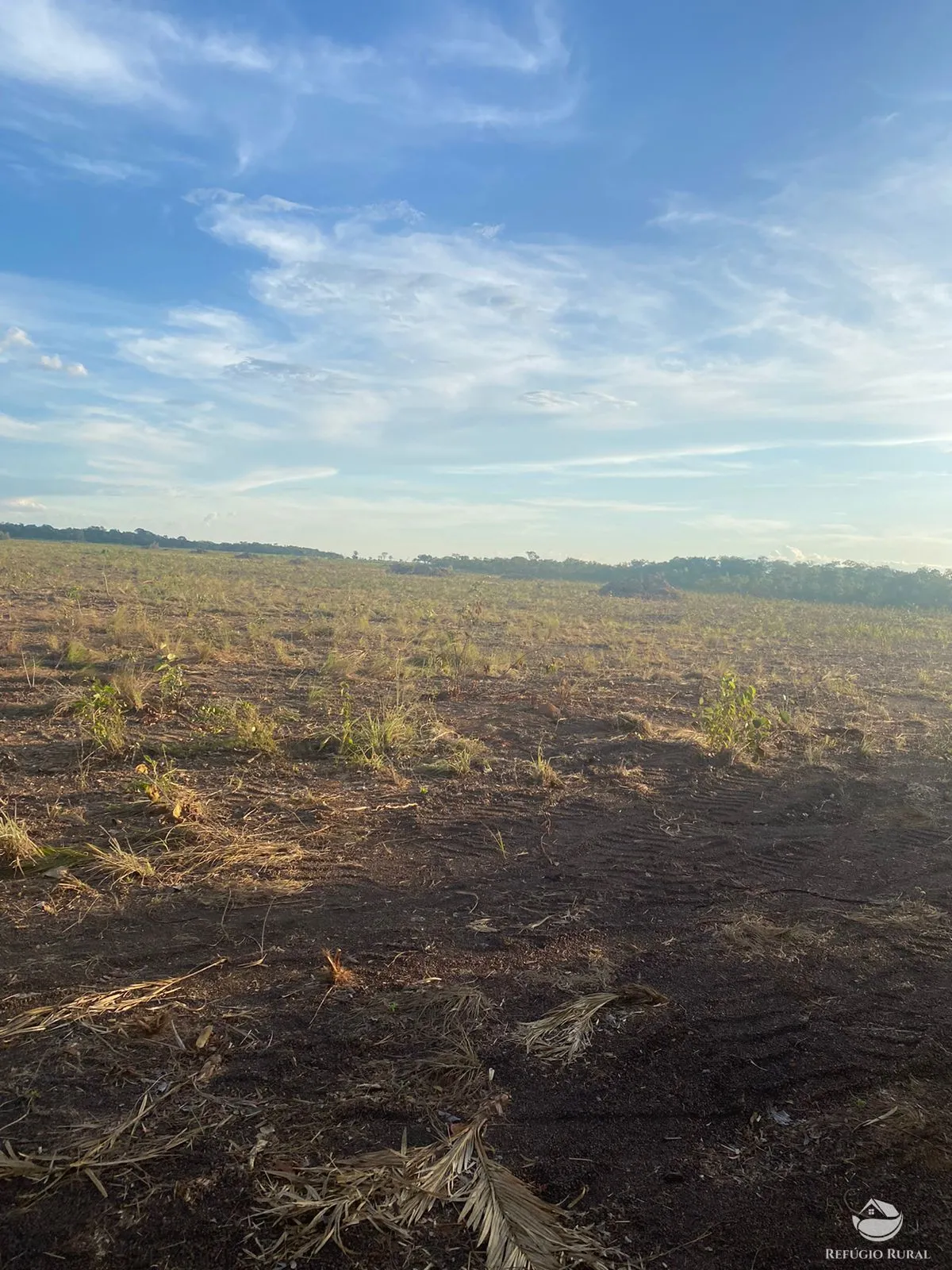 Fazenda à venda de 4.100 ha em CanaBrava do Norte, MT, Brasil