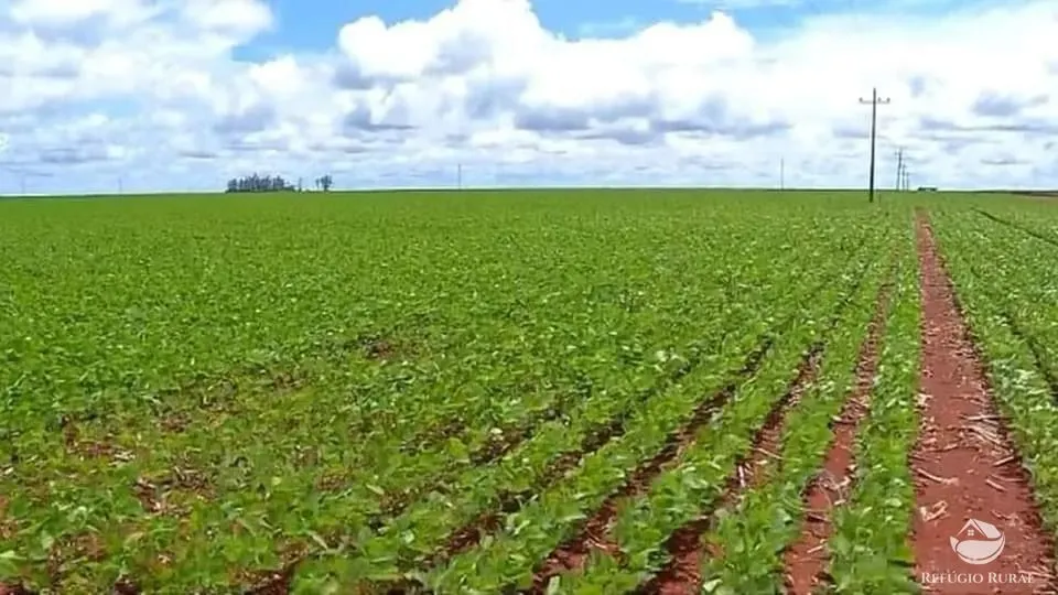Fazenda à venda de 4.100 ha em CanaBrava do Norte, MT, Brasil