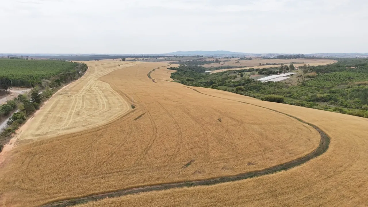 Fazenda à venda de 343 ha em Itapetininga, SP, Brasil