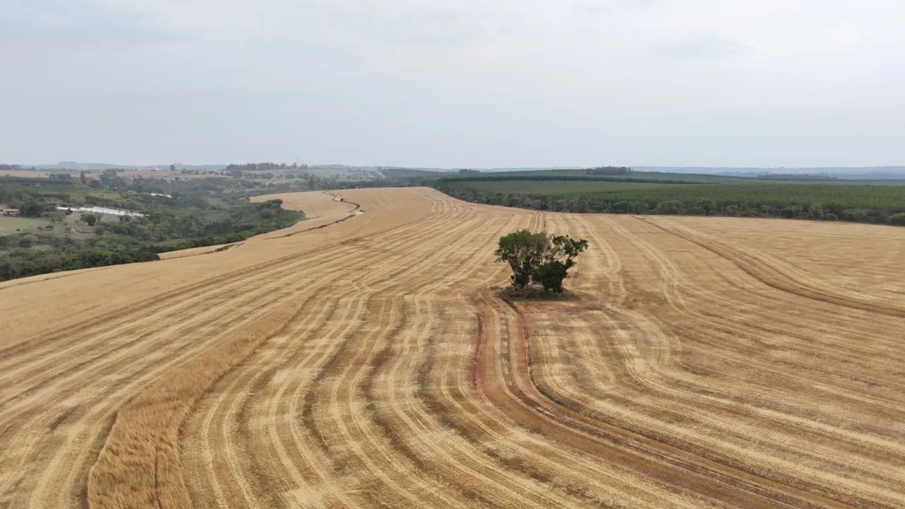 Fazenda à venda de 343 ha em Itapetininga, SP, Brasil