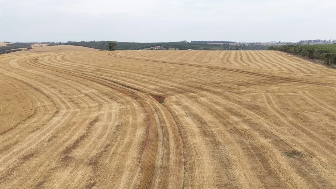 Fazenda à venda de 343 ha em Itapetininga, SP, Brasil