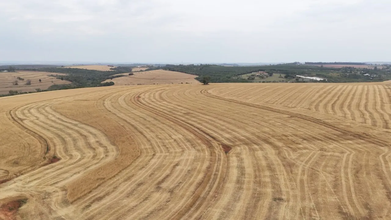 Fazenda à venda de 343 ha em Itapetininga, SP, Brasil