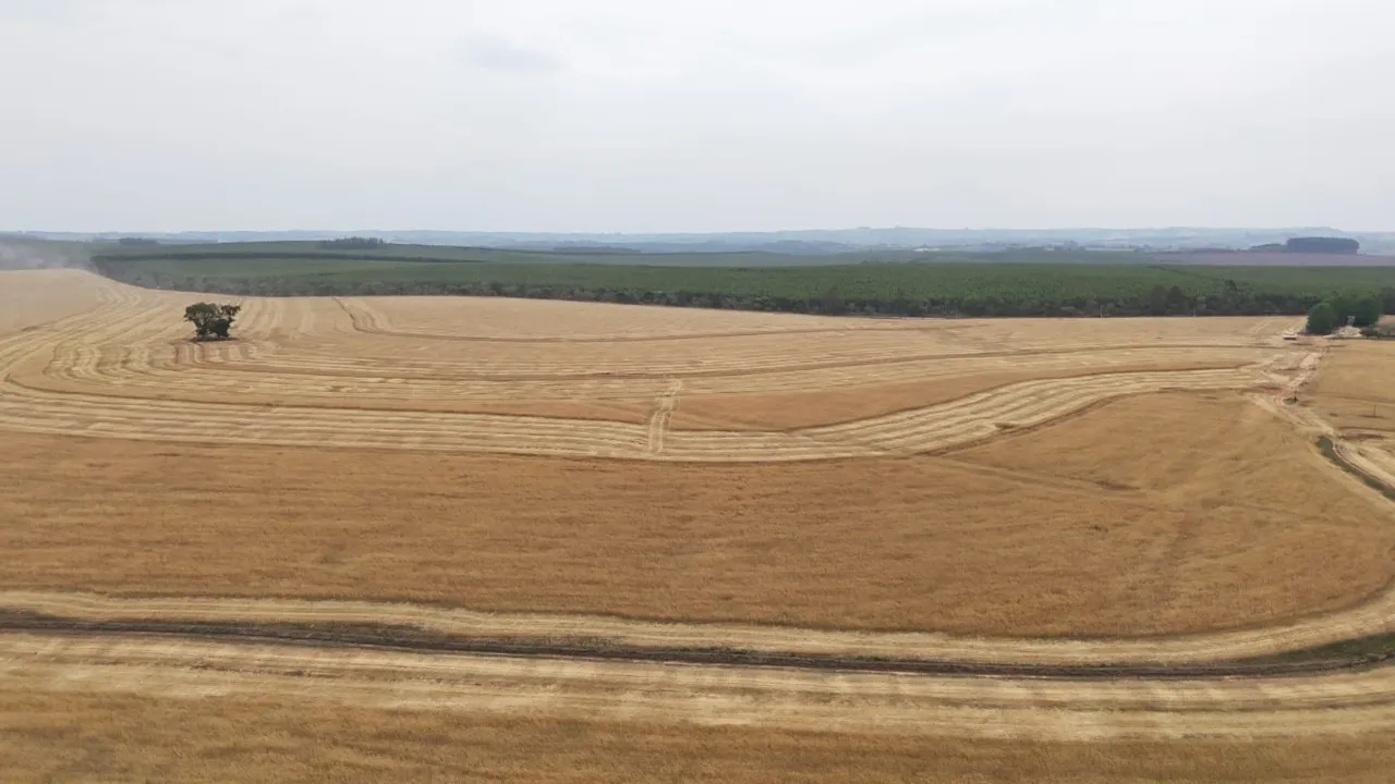 Fazenda à venda de 343 ha em Itapetininga, SP, Brasil