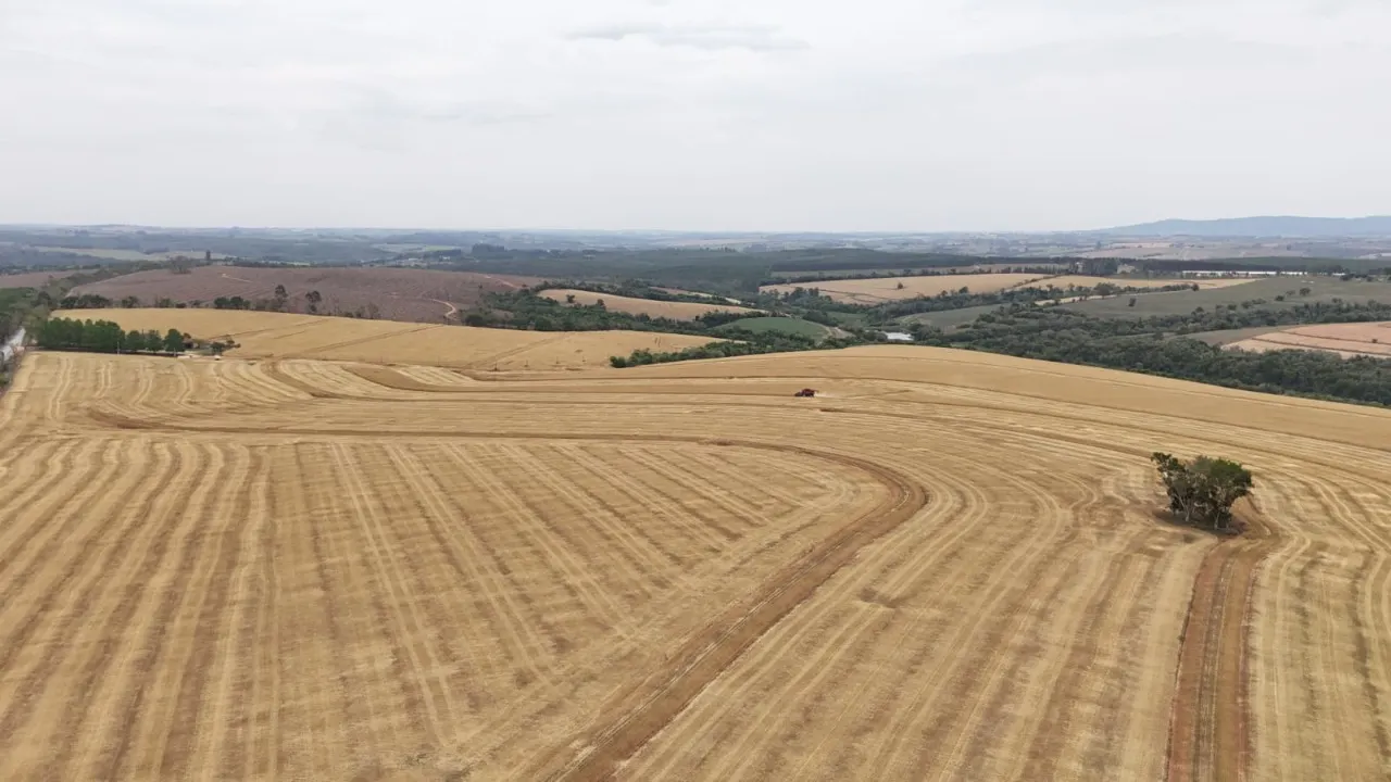 Fazenda à venda de 343 ha em Itapetininga, SP, Brasil