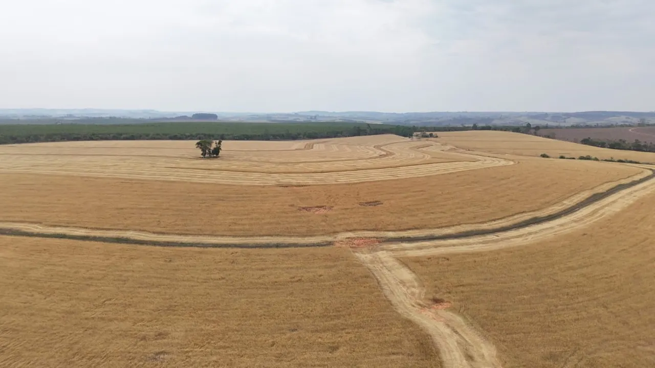 Fazenda à venda de 343 ha em Itapetininga, SP, Brasil