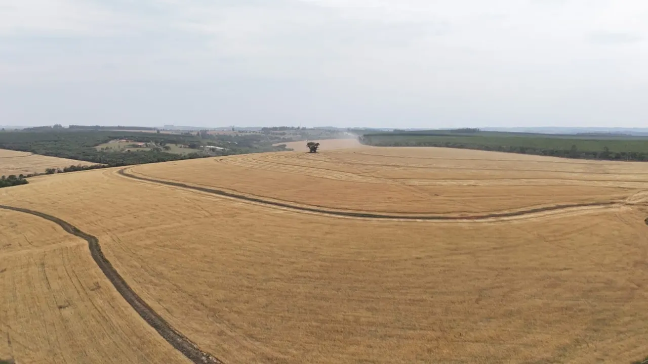 Fazenda à venda de 343 ha em Itapetininga, SP, Brasil
