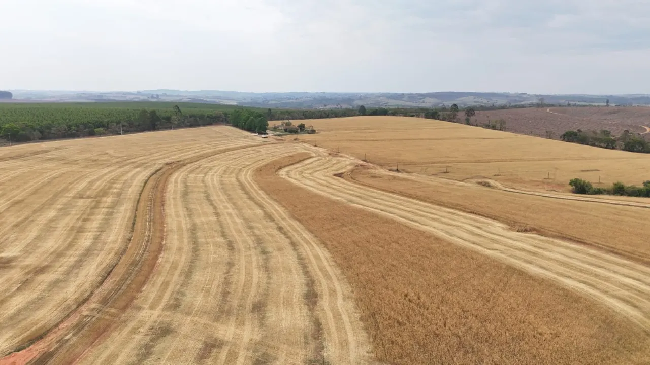 Fazenda à venda de 343 ha em Itapetininga, SP, Brasil