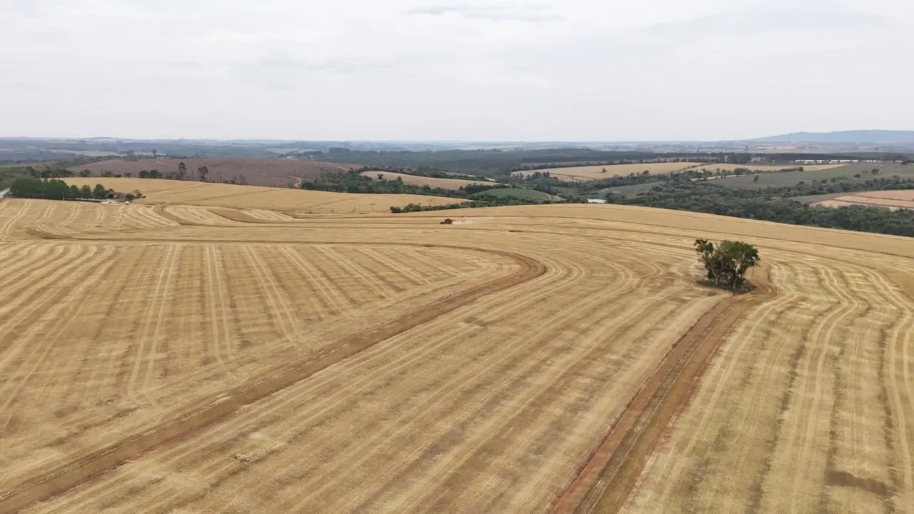 Fazenda à venda de 343 ha em Itapetininga, SP, Brasil