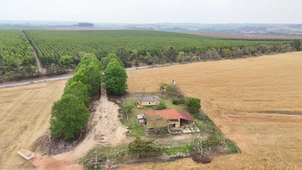 Fazenda à venda de 343 ha em Itapetininga, SP, Brasil