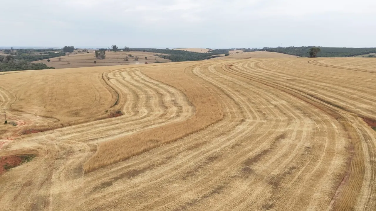 Fazenda à venda de 343 ha em Itapetininga, SP, Brasil