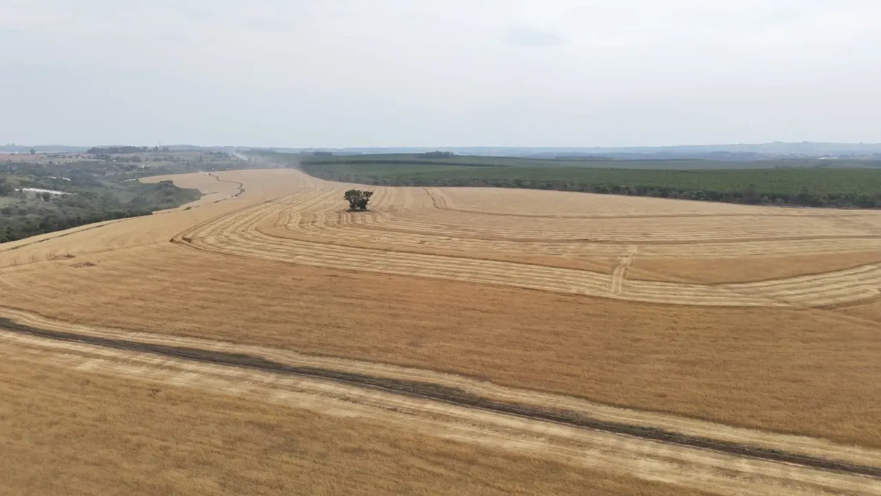 Fazenda à venda de 343 ha em Itapetininga, SP, Brasil