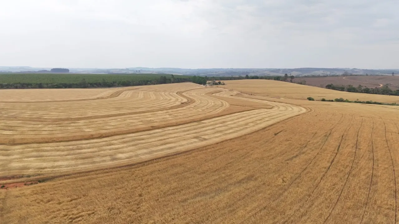 Fazenda à venda de 343 ha em Itapetininga, SP, Brasil