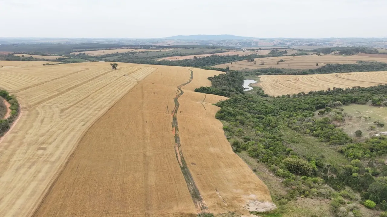 Fazenda à venda de 343 ha em Itapetininga, SP, Brasil