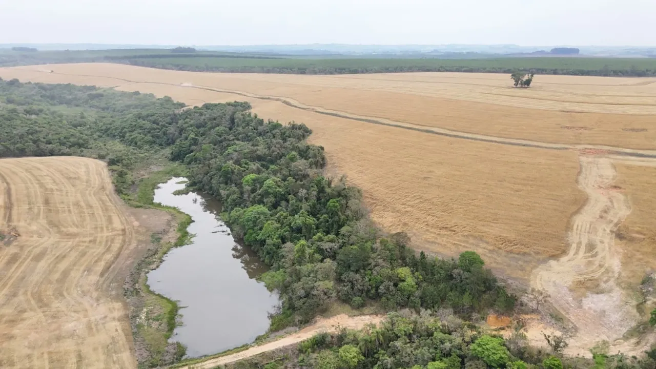 Fazenda à venda de 343 ha em Itapetininga, SP, Brasil